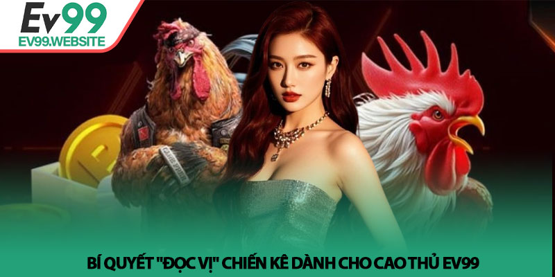 Đá Gà EV99 - Sảnh cược Thomo trực tiếp với tỷ lệ thưởng cao 4 Bí quyết "đọc vị" chiến kê dành cho cao thủ EV99