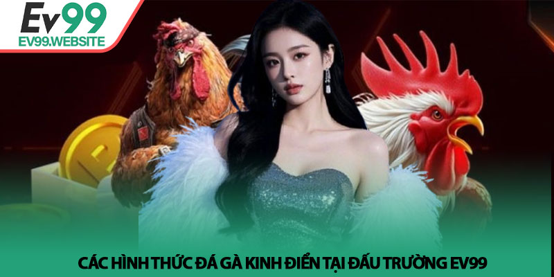 Đá Gà EV99 - Sảnh cược Thomo trực tiếp với tỷ lệ thưởng cao 3 Các hình thức đá gà kinh điển tại đấu trường EV99