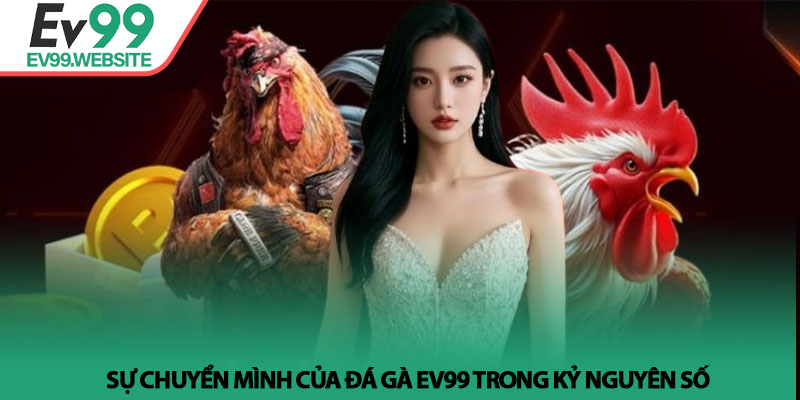 Đá Gà EV99 - Sảnh cược Thomo trực tiếp với tỷ lệ thưởng cao 2 Sự chuyển mình của Đá Gà EV99 trong kỷ nguyên số